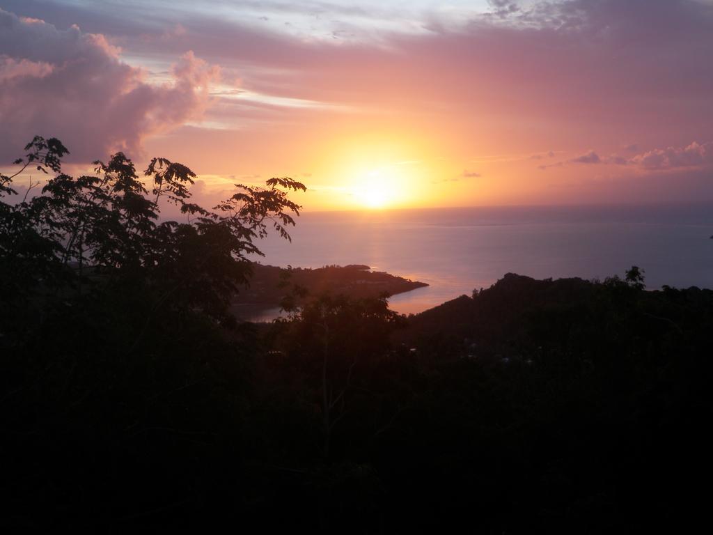 Le Paradiso Apartments Bambou Bagian luar foto