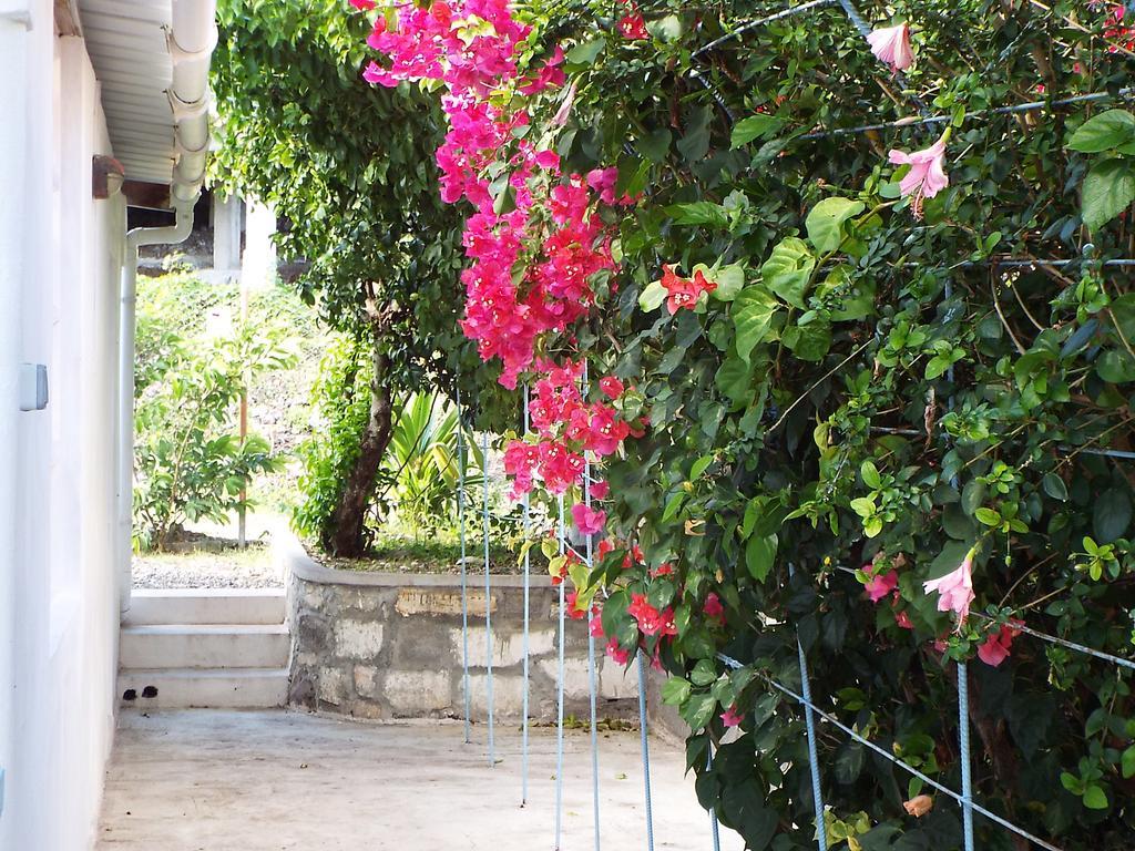 Le Paradiso Apartments Bambou Bagian luar foto